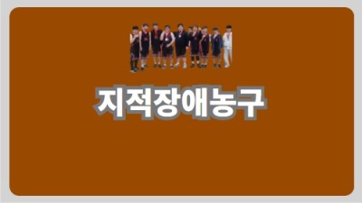 지적장애농구