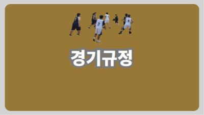 경기규정